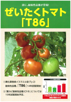 ぜいたくトマト®「T86」