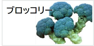 ブロッコリー