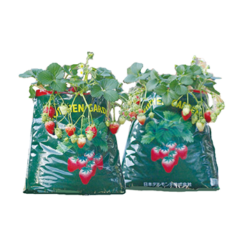 キッチンガーデン 培養土 イチゴ用（肥料入り）12L