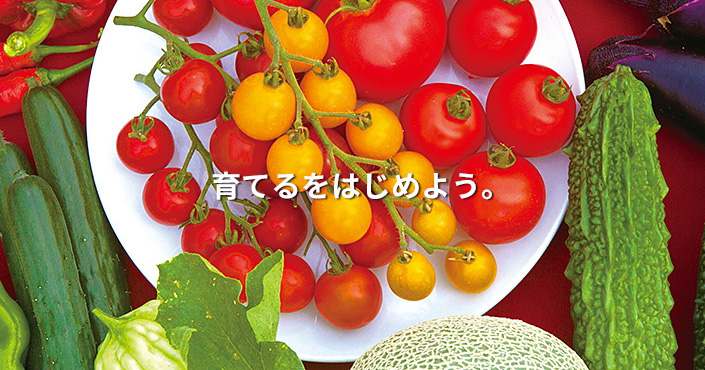 デルモンテの野菜苗 メルマガ通信 デルモンテの野菜苗 日本デルモンテアグリ株式会社