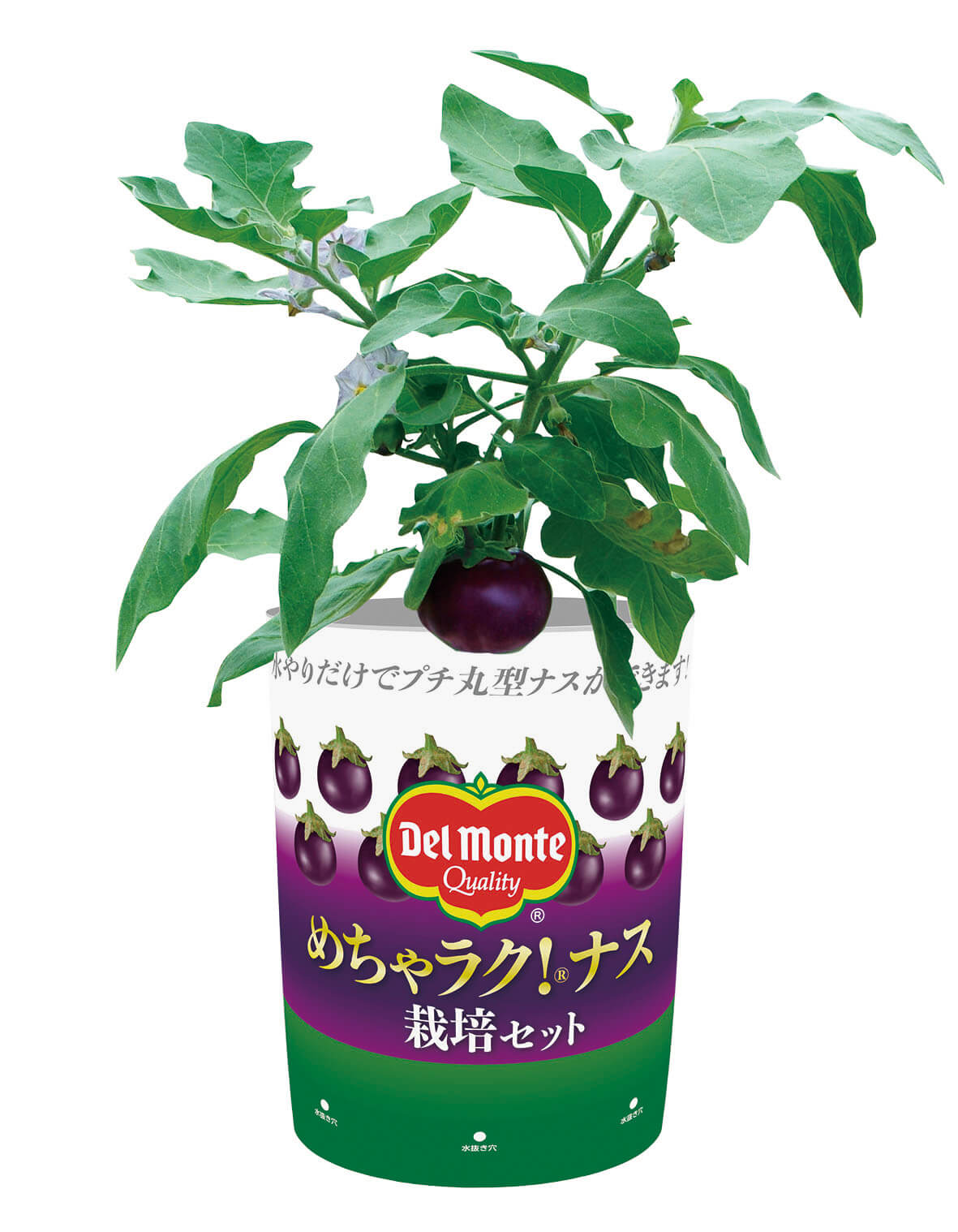 栽培セット ラインアップ デルモンテの野菜苗 日本デルモンテアグリ株式会社