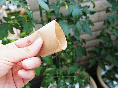 ガムテープを輪にして葉や茎をペタペタとして取り除くことができます。