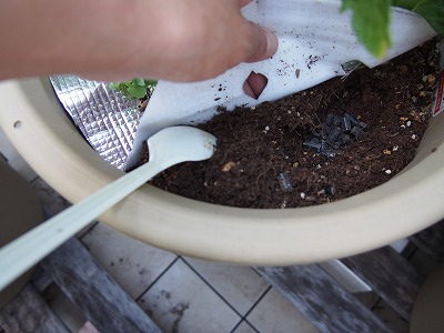 土に肥料をまぜるなど、細かい作業にはスプーンが役立ちます。