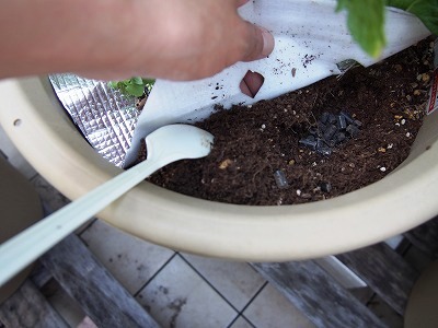 土に肥料をまぜるなど、細かい作業にはスプーンが役立ちます。