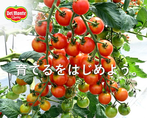 日本デルモンテアグリ サイトバナー