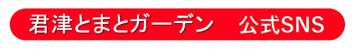 君津とまとガーデン 公式SNS