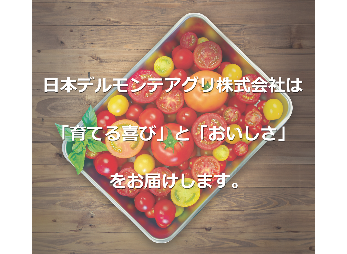 日本デルモンテアグリと君津とまとガーデンの案内ビジュアル